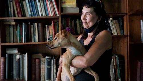 APRANI, Asociación Protectora de Animales sin fines de lucro APRANI, Asociación Protectora de Animales sin fines de lucro