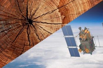 satelite de madera