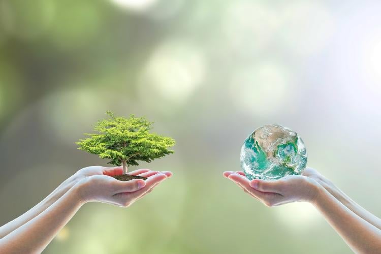 Día Mundial de la Educación Ambiental