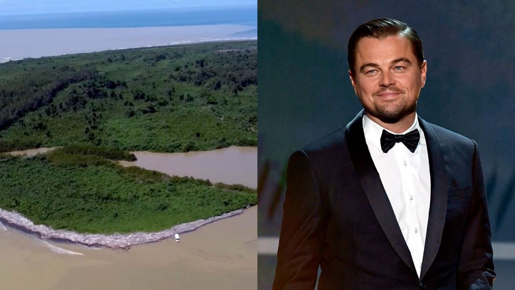 _portada bioguia (4) _portada bioguia (4)