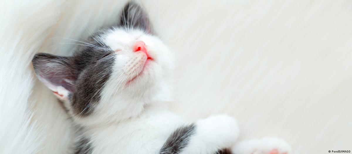 65895679_1004 65895679_1004