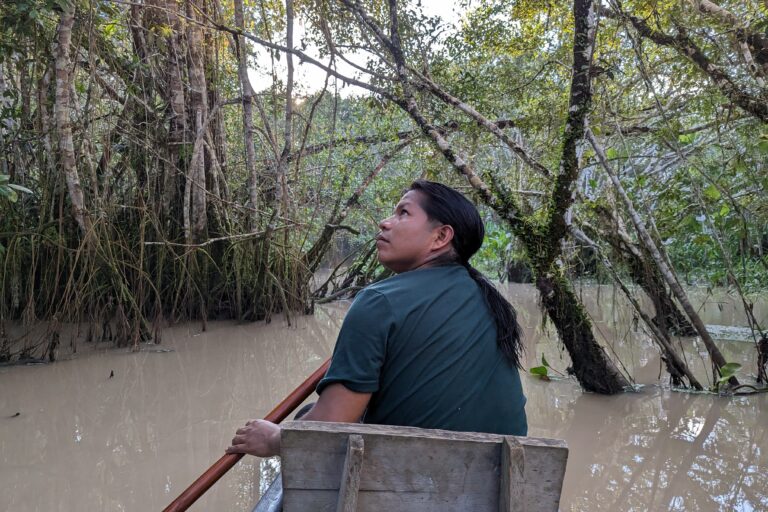 PXL_20230401_220459771 768x512 PXL_20230401_220459771 768x512