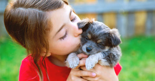 niños crecen mascotas cualidades niños crecen mascotas cualidades