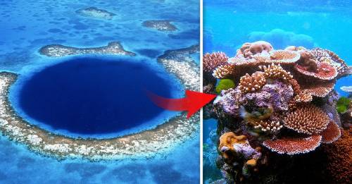 ¡Grandes noticias! Belice salvó de la destrucción la gran barrera de coral