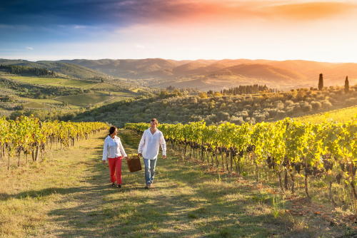 Este viñedo en California ofrece un sueldo de 10 mil dólares por trabajar allí