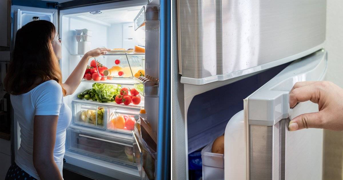 Si Tu Refrigerador No Enfria Como El Primer Dia Es Porque Quiza Nunca Hayas Hecho Esto Bioguia