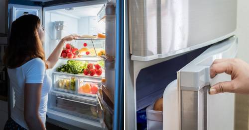 Si Tu Refrigerador No Enfria Como El Primer Dia Es Porque Quiza Nunca Hayas Hecho Esto Bioguia