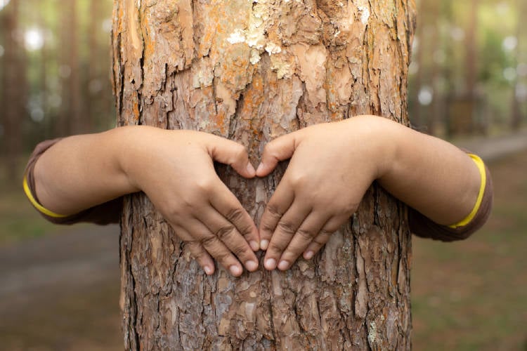 arbol niña abraza a un arbol y realiza el simbolo del corazon con sus manos