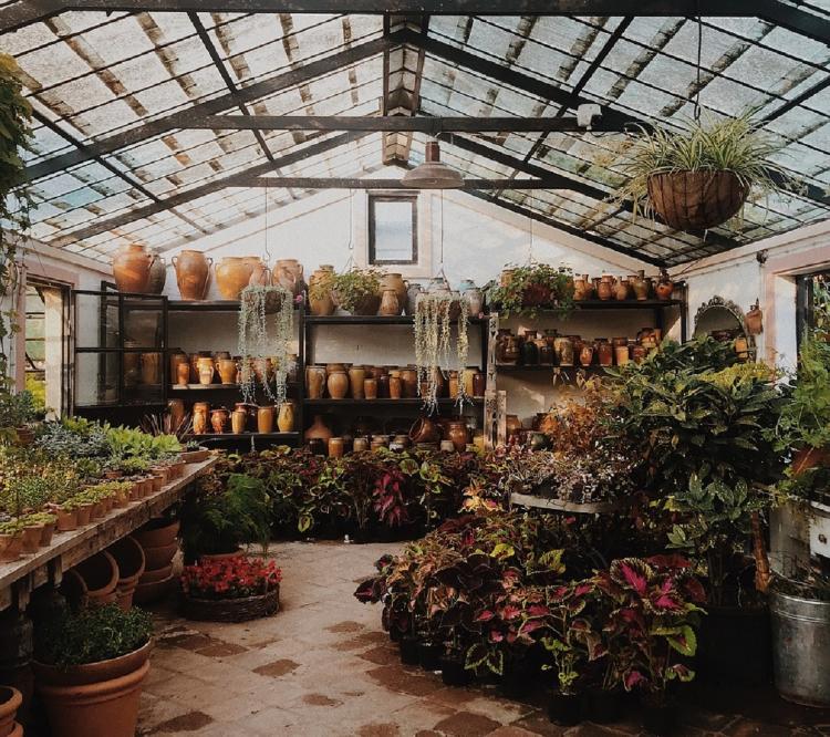 greenhouse 5095328 1280 Jardín botánico