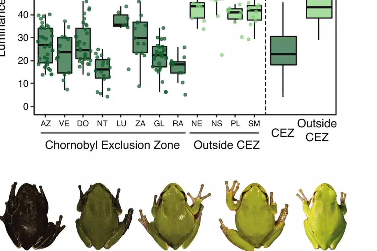 Imagen: www.eldebate.com