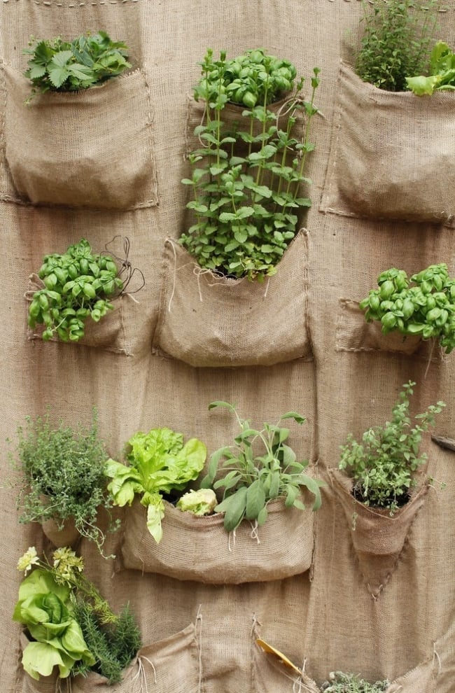 Deshonestidad Último Encantador 12 ideas para montar jardines verticales | Bioguia