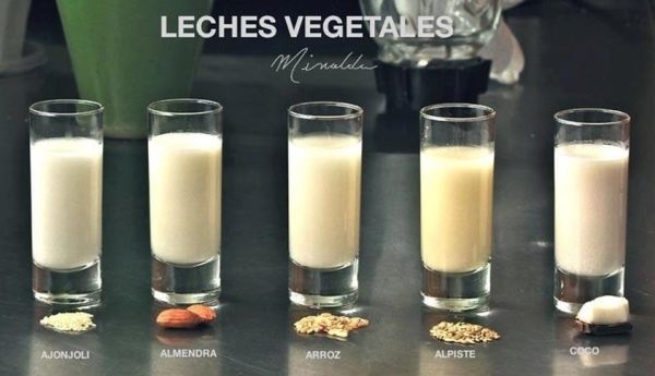 Resultado de imagen de LECHES VEGETALES