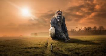 ¿Qué significa soñar con animales? ¿Qué significa soñar con animales?