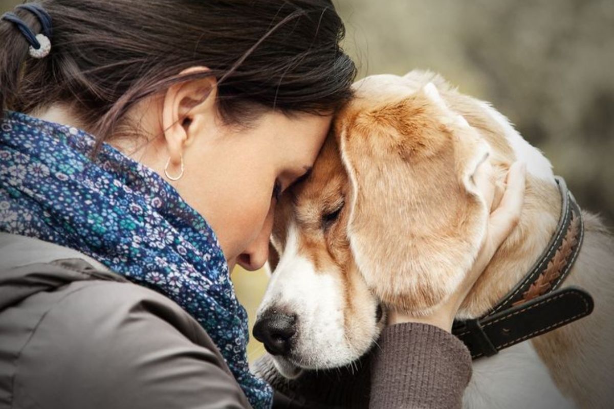 Los perros pueden mostrar un cambio en su comportamiento al notar una enfermedad. (Foto: Pinterest)