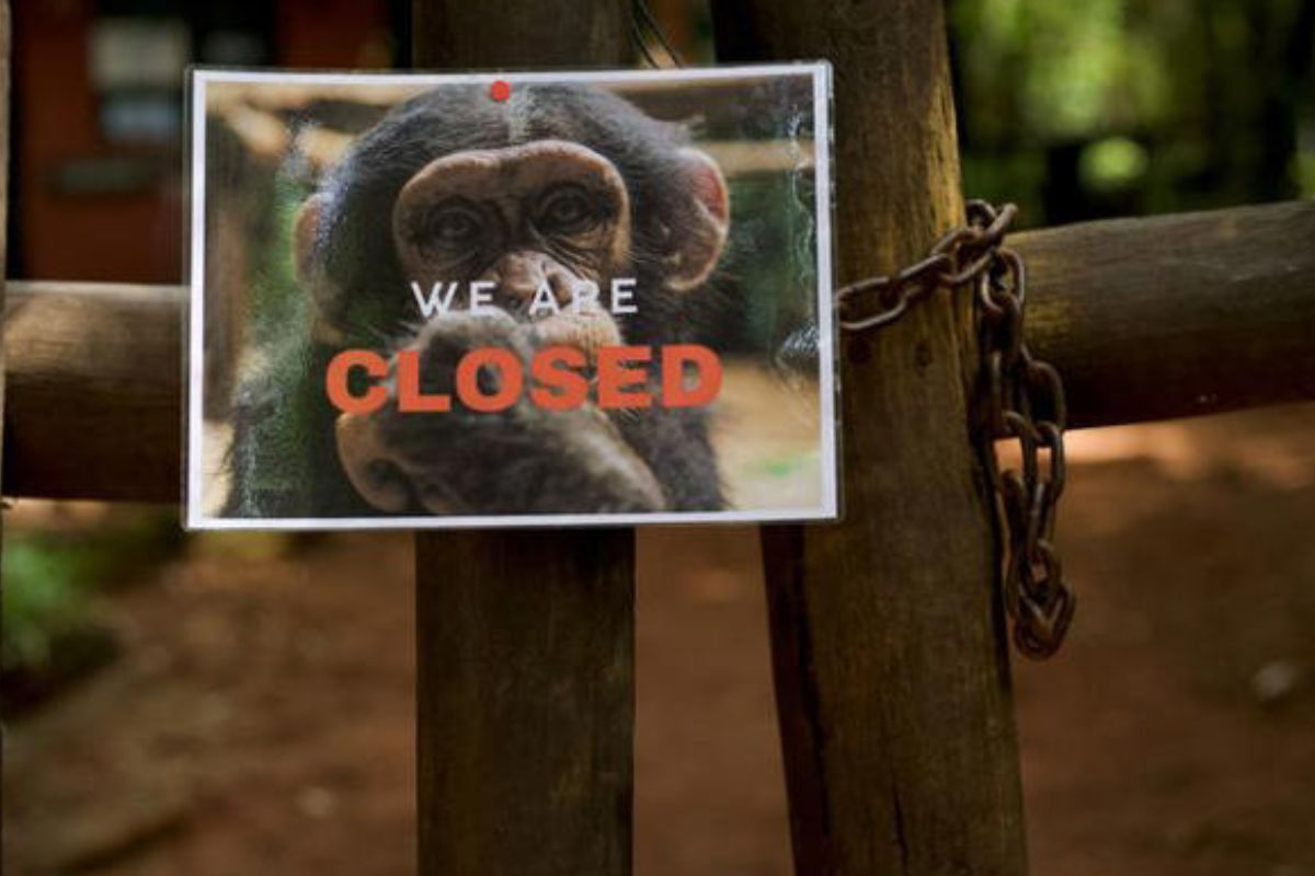 santuario FOTO DE ARCHIVO. La entrada al Santuario de Chimpancés de Tacugama, cerrado al público, en Freetown, Sierra Leona. 21 de junio de 2025. REUTERS/Hickmatu Leigh© Thomson Reuters