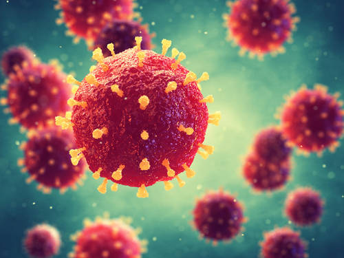 Virus enfermedad Virus enfermedad