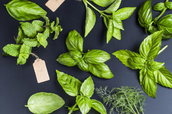 top view of different aromatic herbs