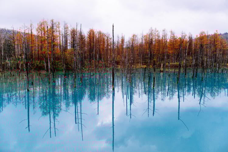 Curiosidades Blue Pond. Curiosidades Blue Pond.