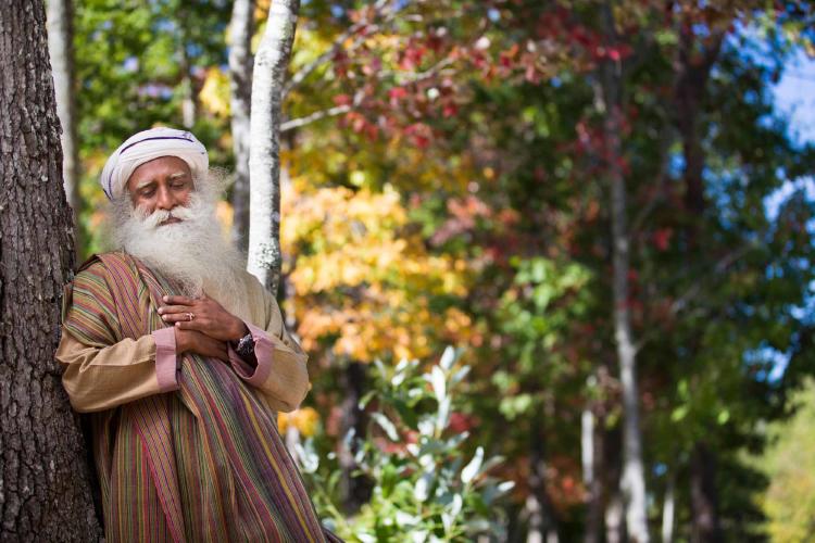 sadhguru