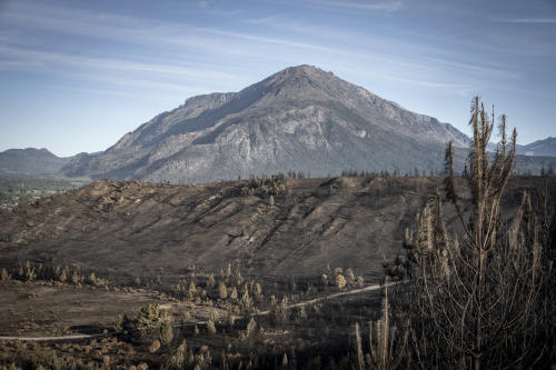 CREDITOS_ @chacay.av foto 6 CREDITOS_ @chacay.av foto 6