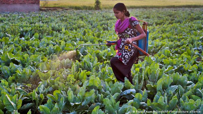 60386776_303 60386776_303