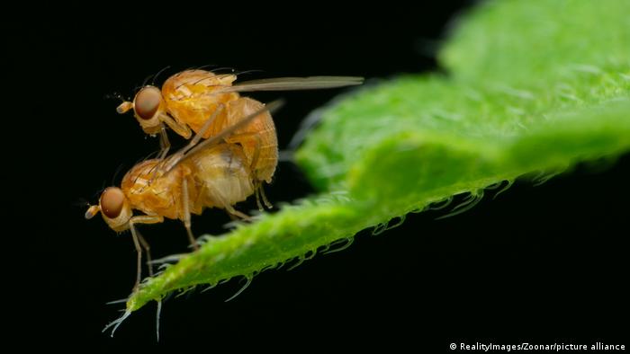 64938657_303 64938657_303