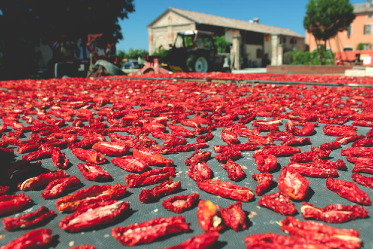 deshidratación al sol alimentos deshidratados