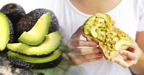 fanatico aguacate personalidad fanatico aguacate personalidad