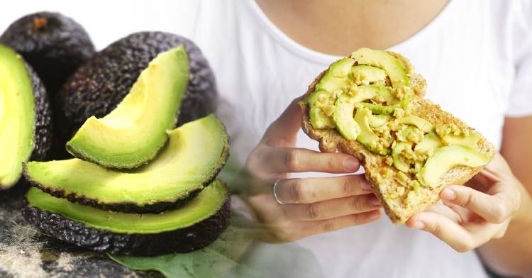 fanatico-aguacate-personalidad fanatico-aguacate-personalidad
