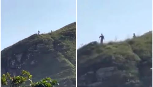 criatutas brasil criatutas brasil