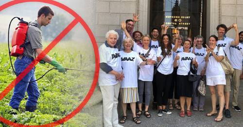 Un paso más por un mundo libre de los agroquímicos de Monsanto ¡Felicitaciones Avaaz! Un paso más por un mundo libre de los agroquímicos de Monsanto ¡Felicitaciones Avaaz!