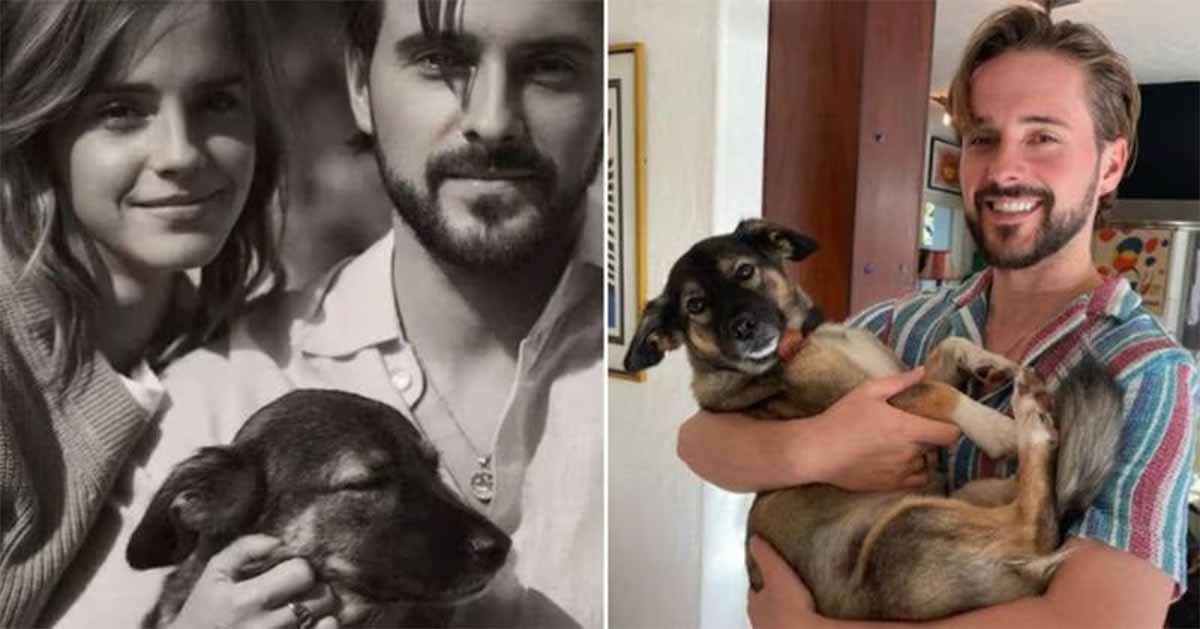 watson perrita watson perrita