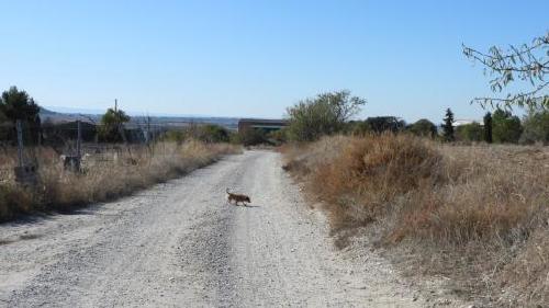 Reto visual Reto visual