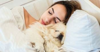 mujeres dormir mejor al lado perros pareja