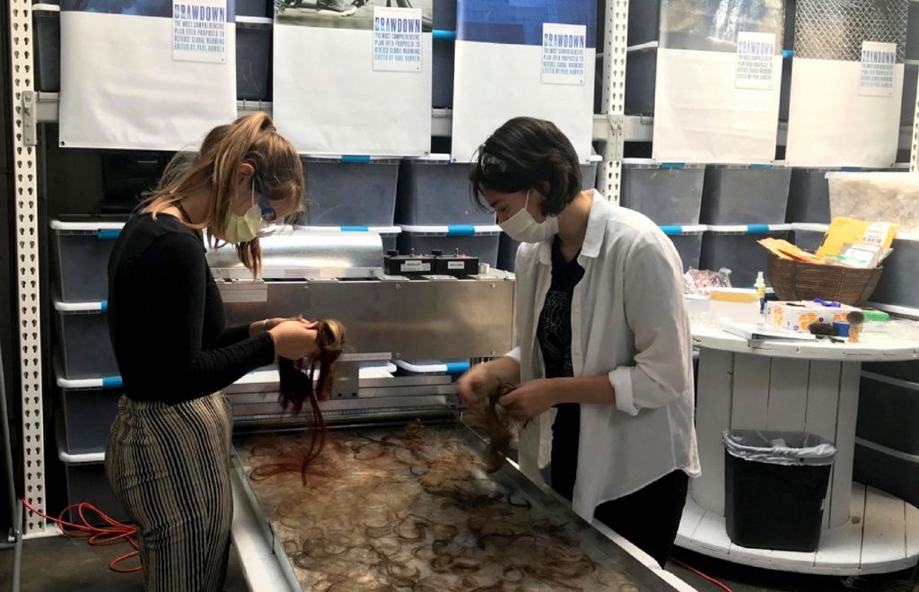 Pelo humano Pelo humano