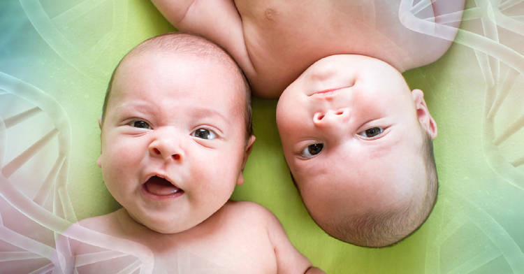 gemelos bebes recien nacidos, concepto de genetica, hermanos