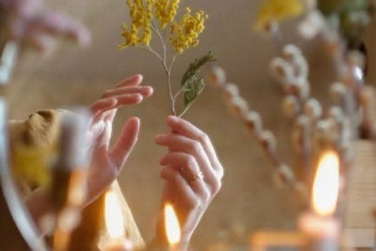 flores Equinoccio 2026: el día real en que inicia la primavera (Imagen: Pinterest)