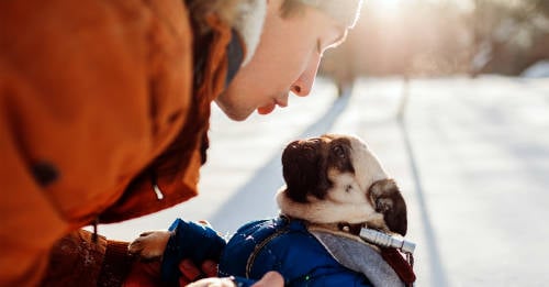 personas hablan sus mascostas cualidad