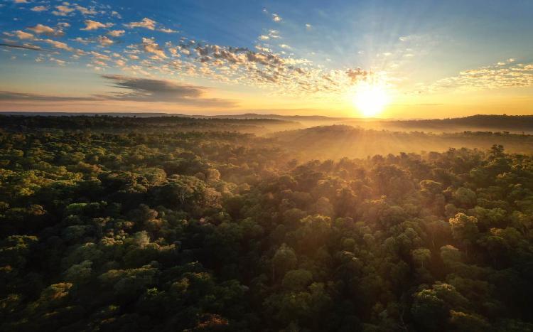 Amanecer en Biósfera Yabotí Sergio Moya Amanecer en Biósfera Yabotí Sergio Moya