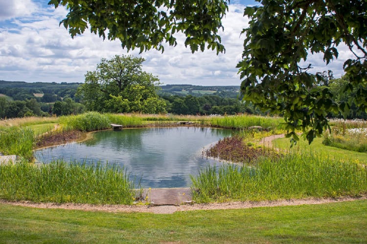 biopiscina, piscina ecologica