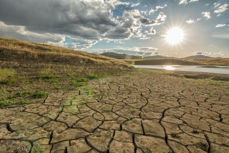 calentamiento global calentamiento global