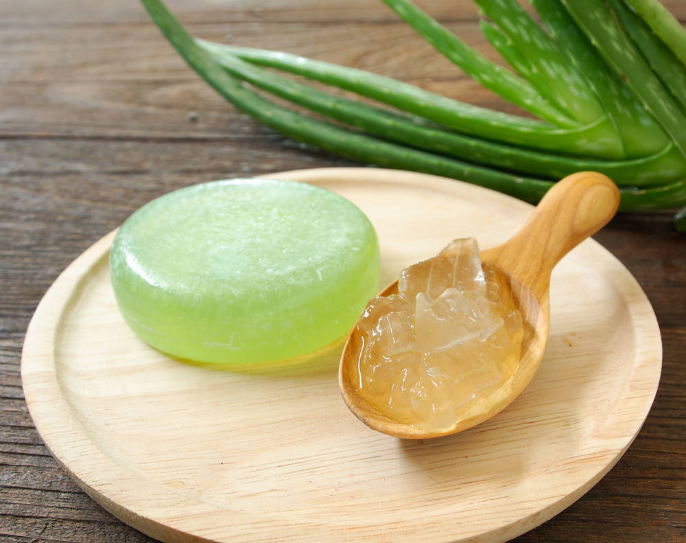 Como Hacer Jabon De Aloe Vera Para Eliminar Los Barritos Y Las