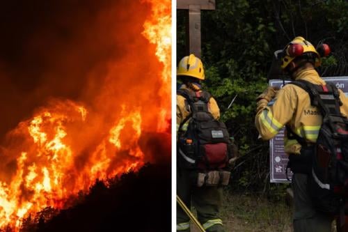 Incendios Patagonia Imagen: www.adnsur.com.ar