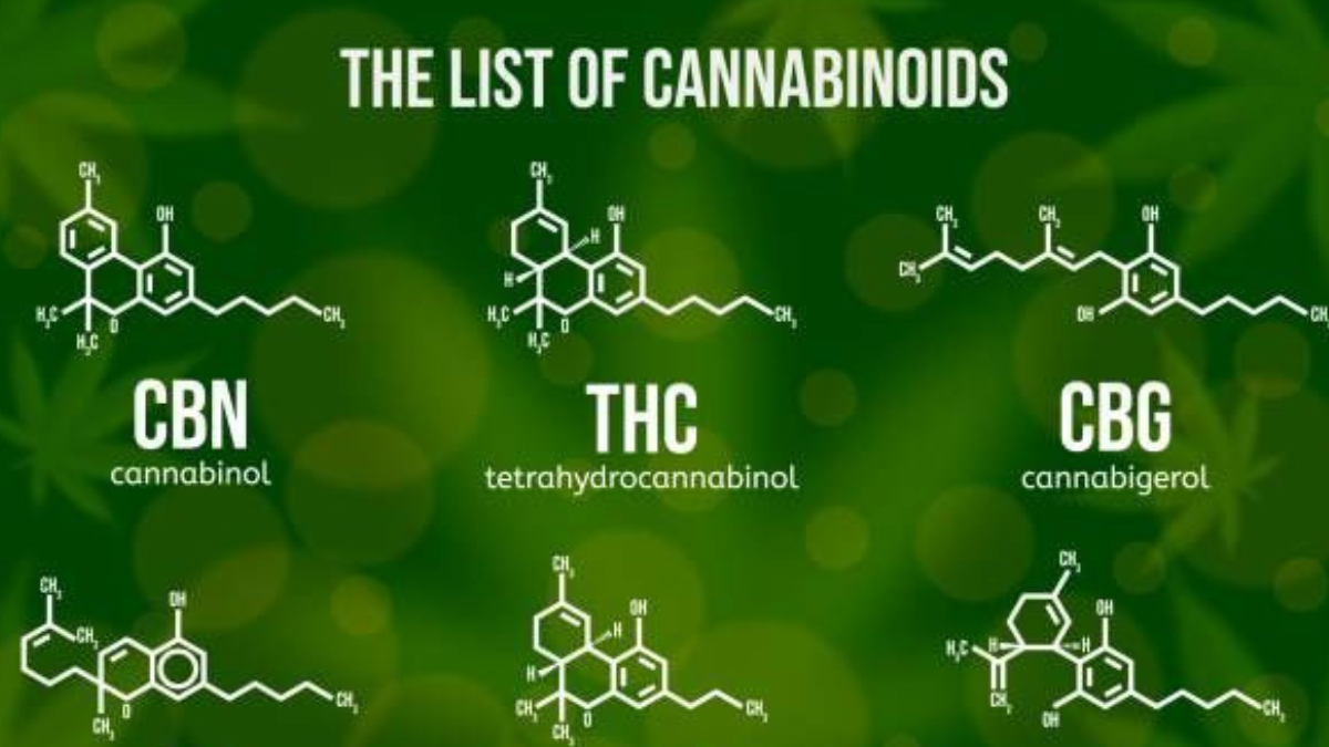 cannabis Lista de cannabinoides (Foto: Pinterest)
