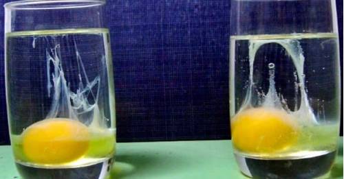 Huevo un vaso de agua: ¿Cómo saber si tienes energías negativas? | Bioguia