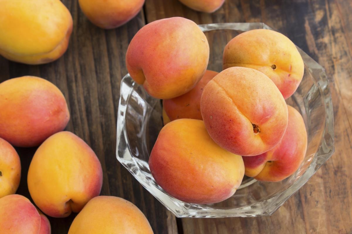 Albaricotes Albaricotes