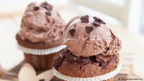 44542146_303 44542146_303