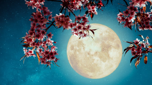 Luna llena de las Flores