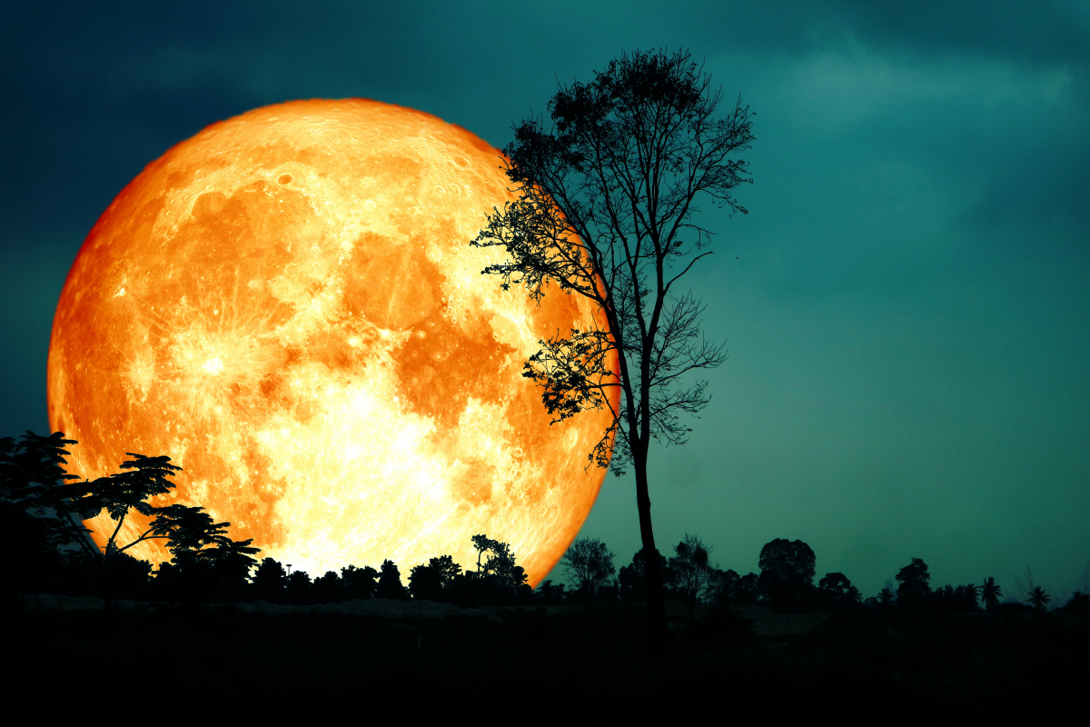 Luna llena de octubre o luna del cazador ¿Cuándo se podrá ver? Bioguia