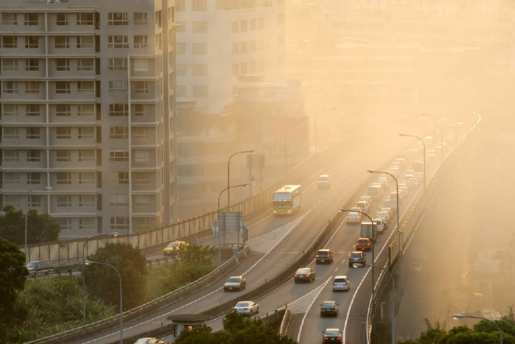 autos contaminación Autos contaminando una avenida principal
